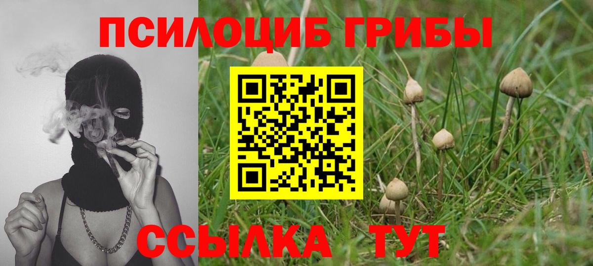 купить  сайты  Псилоцибиновые грибы Psilocybine cubensis  Вход с VPN  Оренбург 